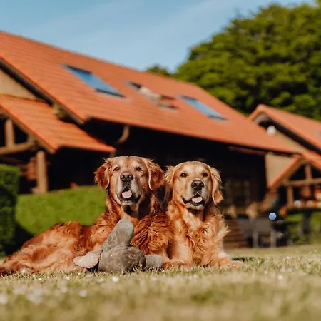 Blockhaus Cook - Meerblick * ساسنيتز